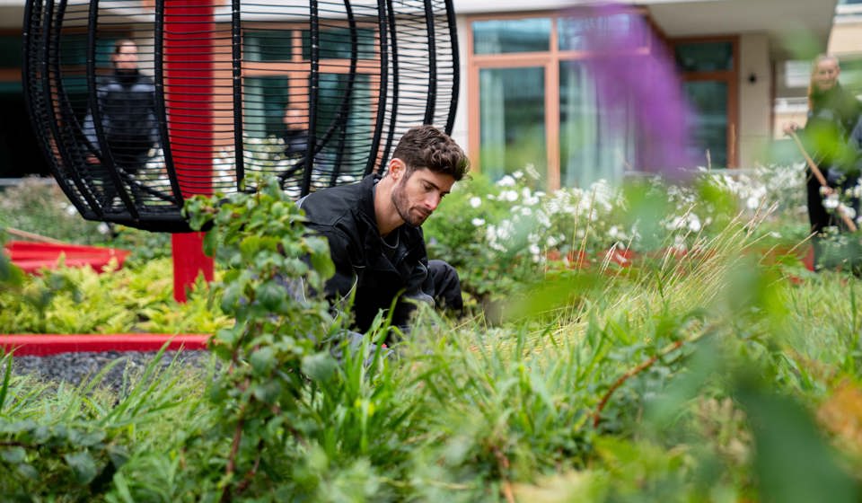 Herenbos 3 Kopie (1)